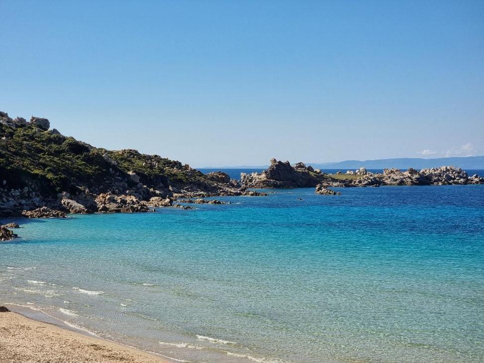 La Stella Azzurra Sul Mare Lejlighed Santa Teresa Gallura Eksteriør billede